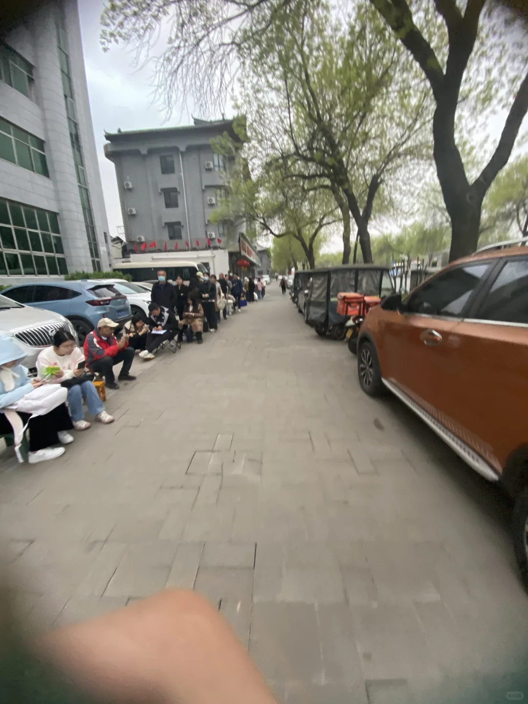 开封顺河招教～有偿代排（3.27日早6点）