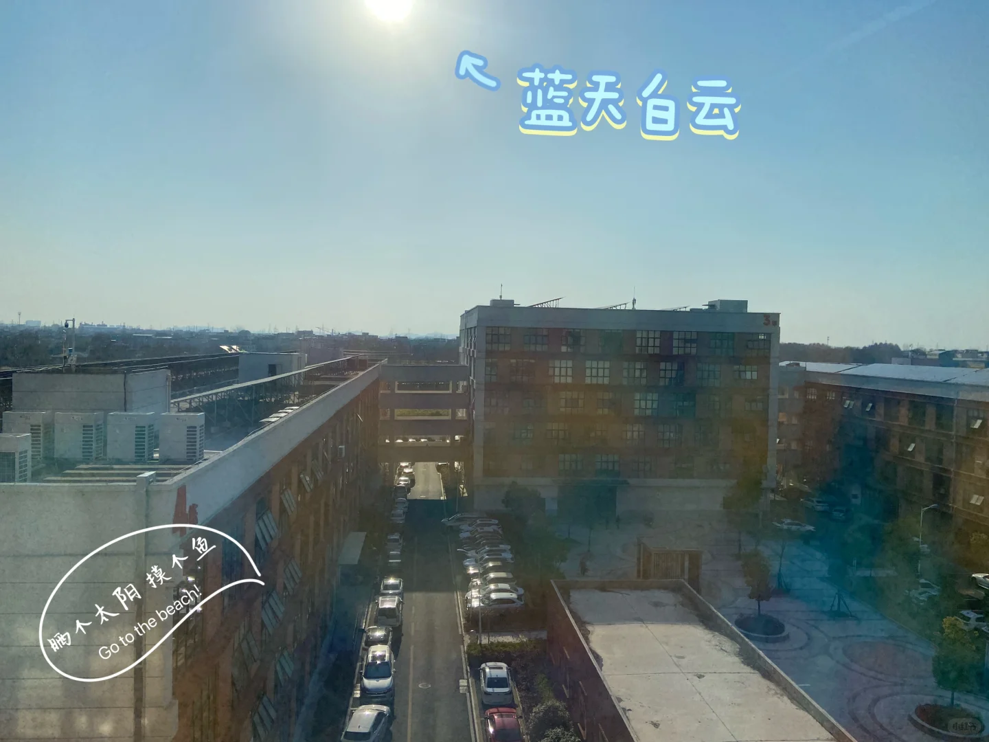 上班哪有不疯的 只不过是硬撑罢了