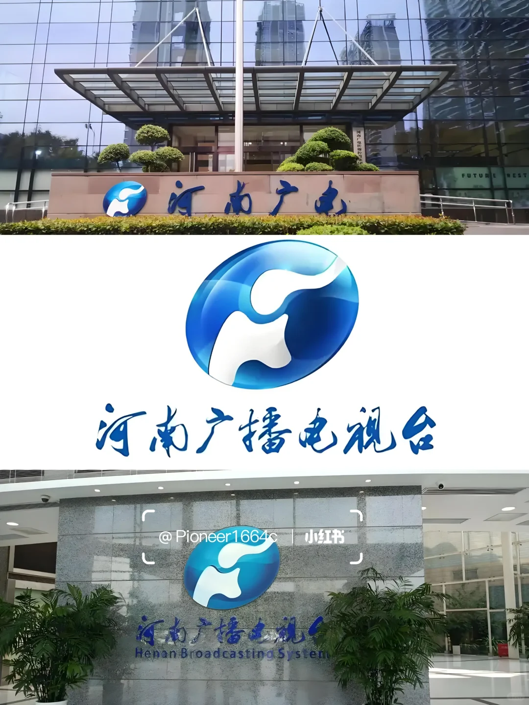 郑州电视台📺招行政助理