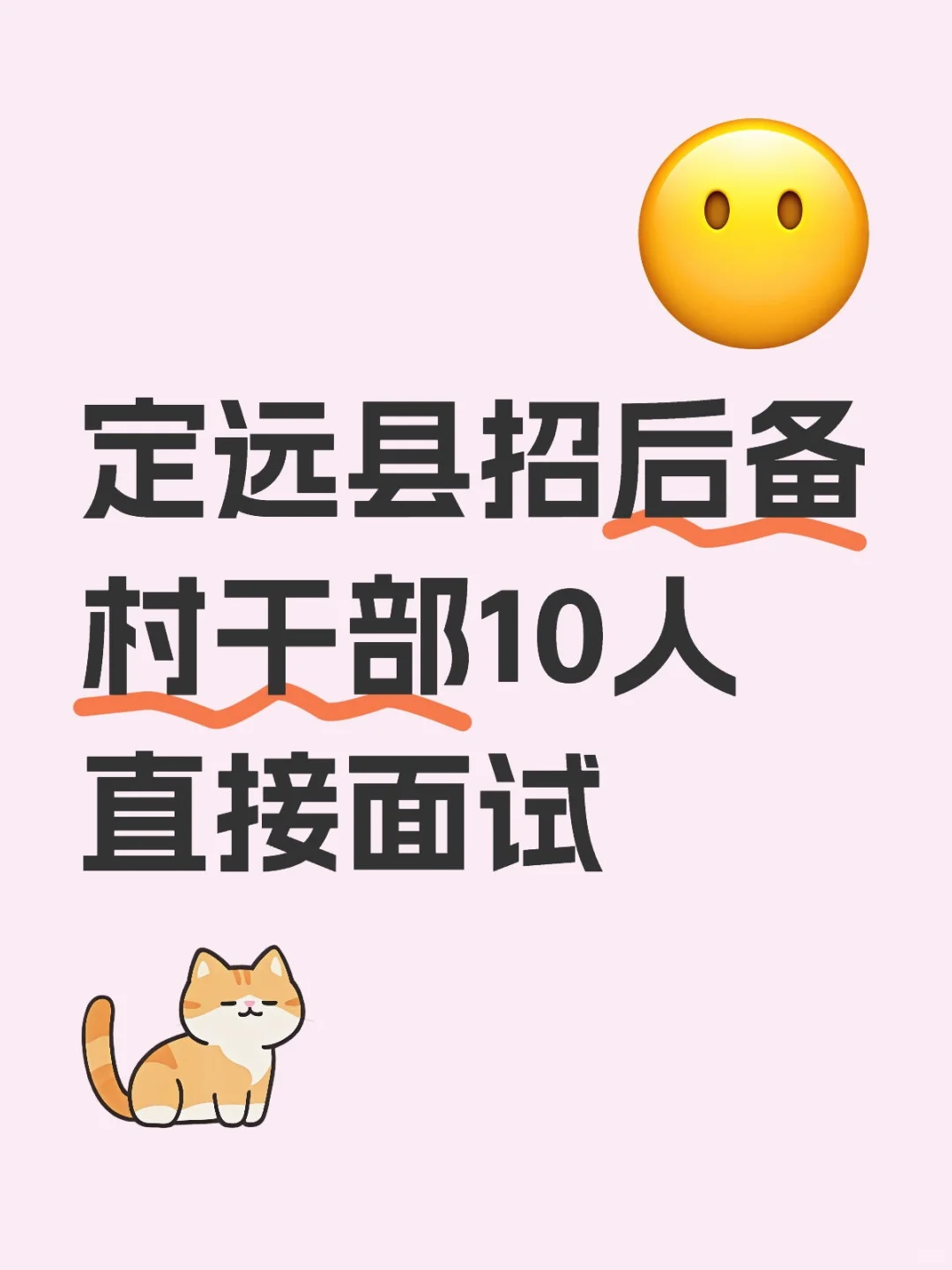定远县招后备村干部10人直接面试