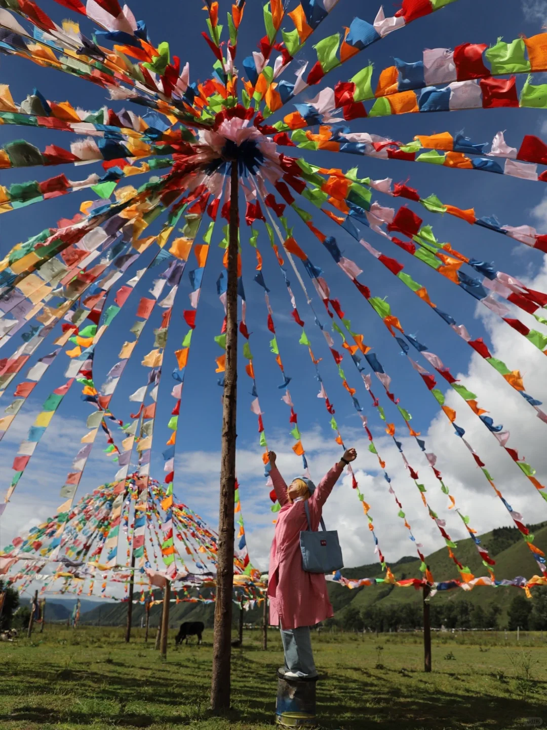 🔍work with us｜白日奇旅领队招聘