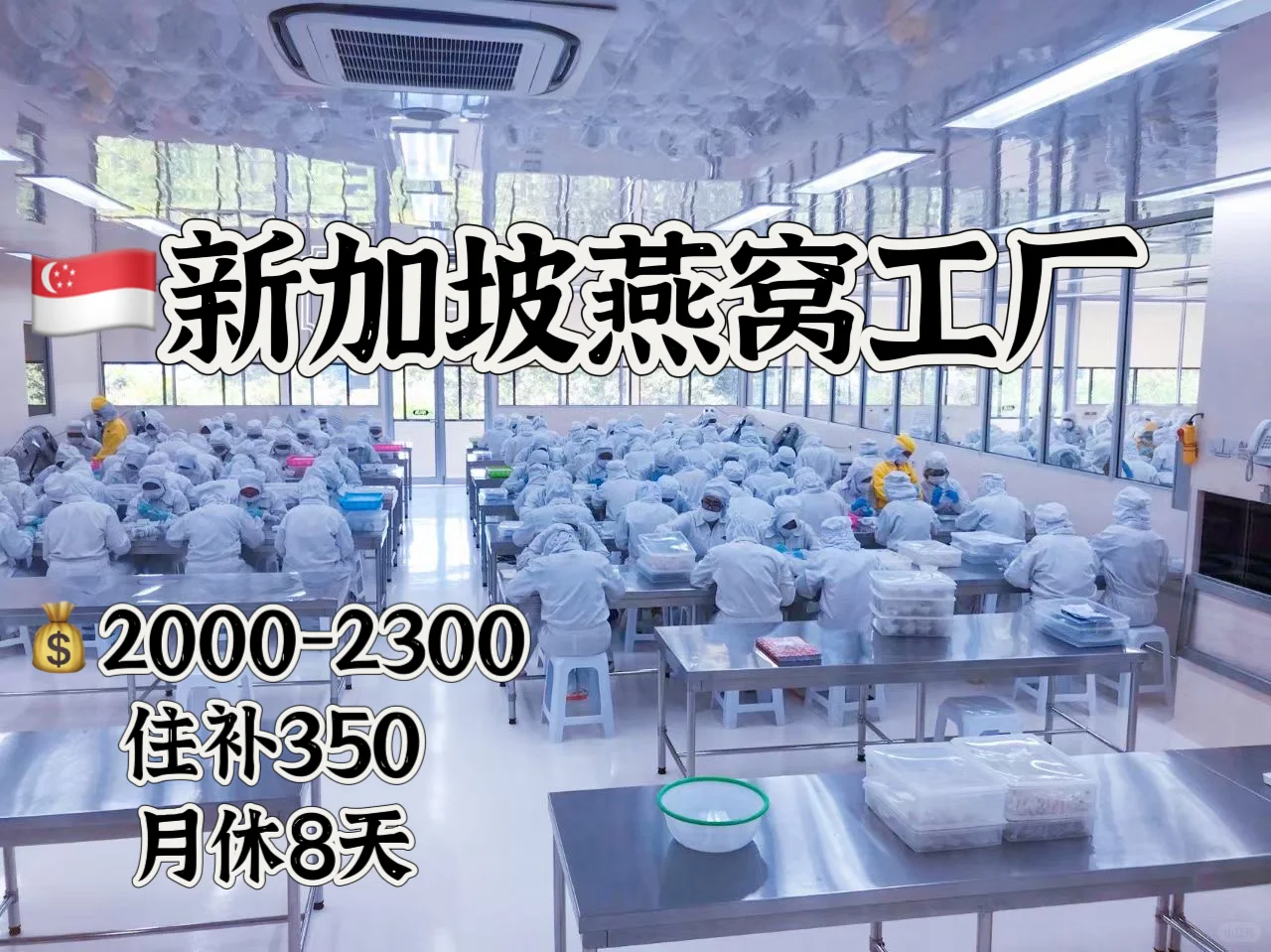 燕窝工厂🇸🇬🇸🇬月休8天普工