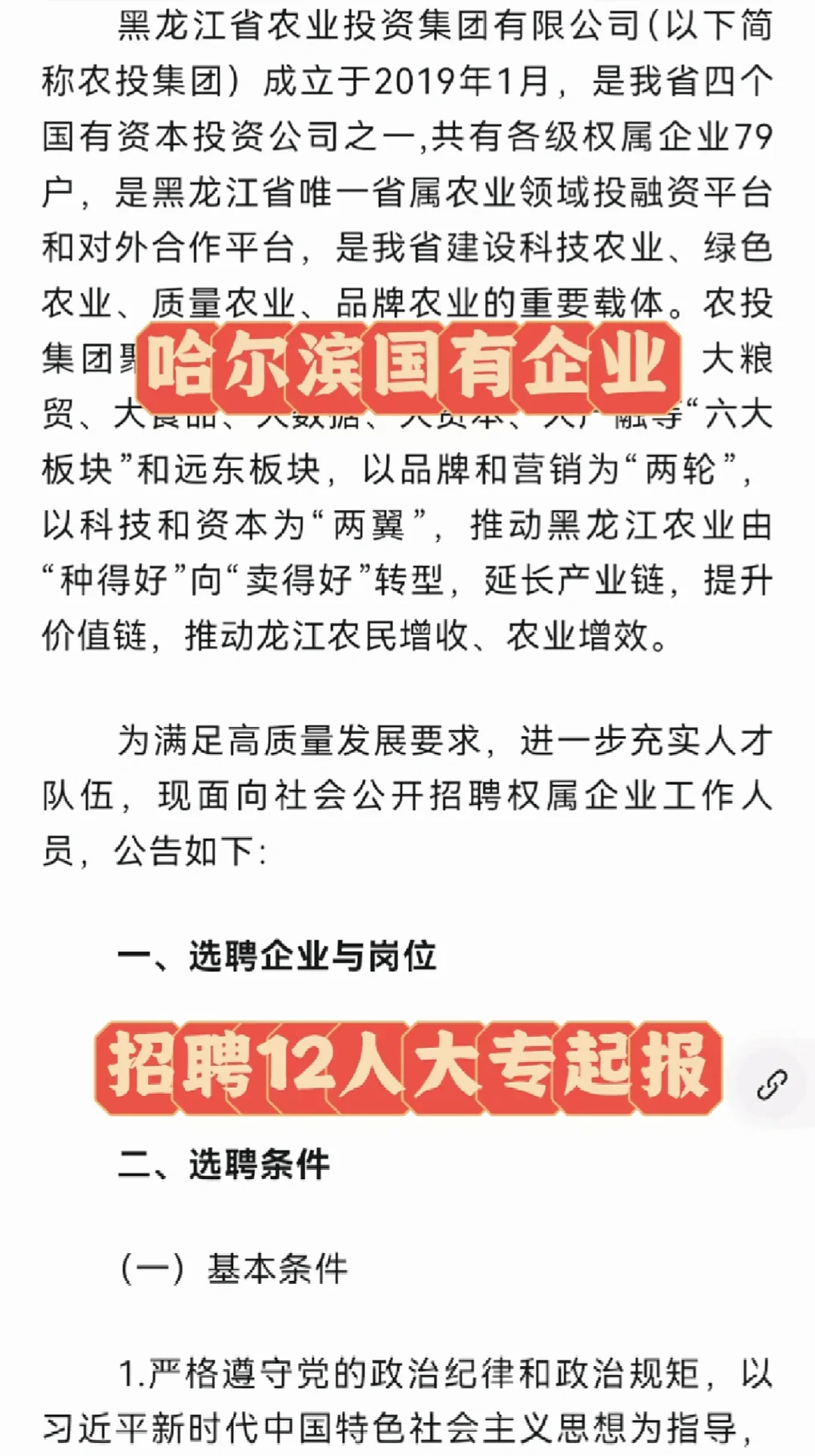 黑龙江农投集团招聘12人（大专可报）