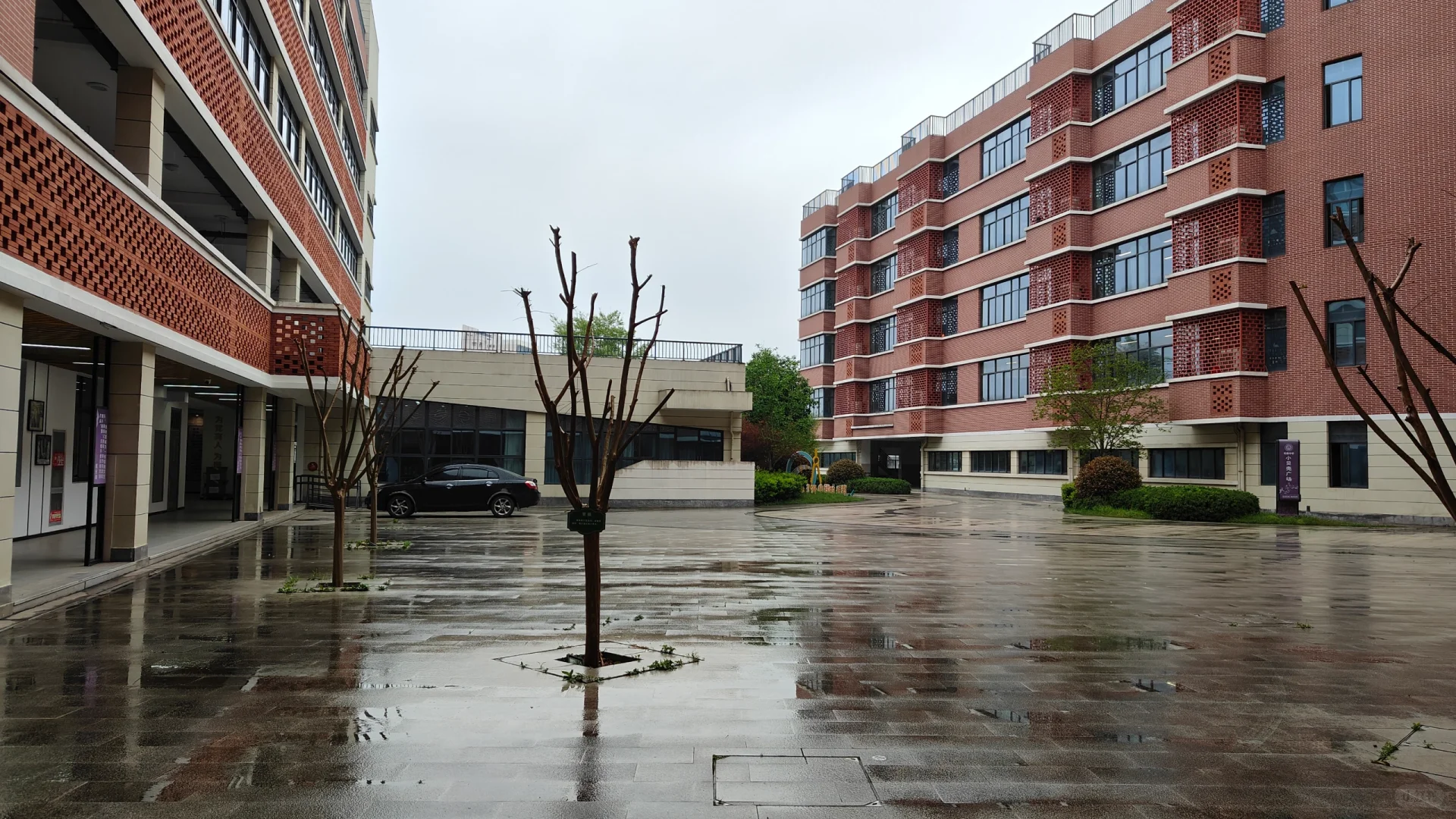 金东区教师招聘你好狠！☹️（附真题）