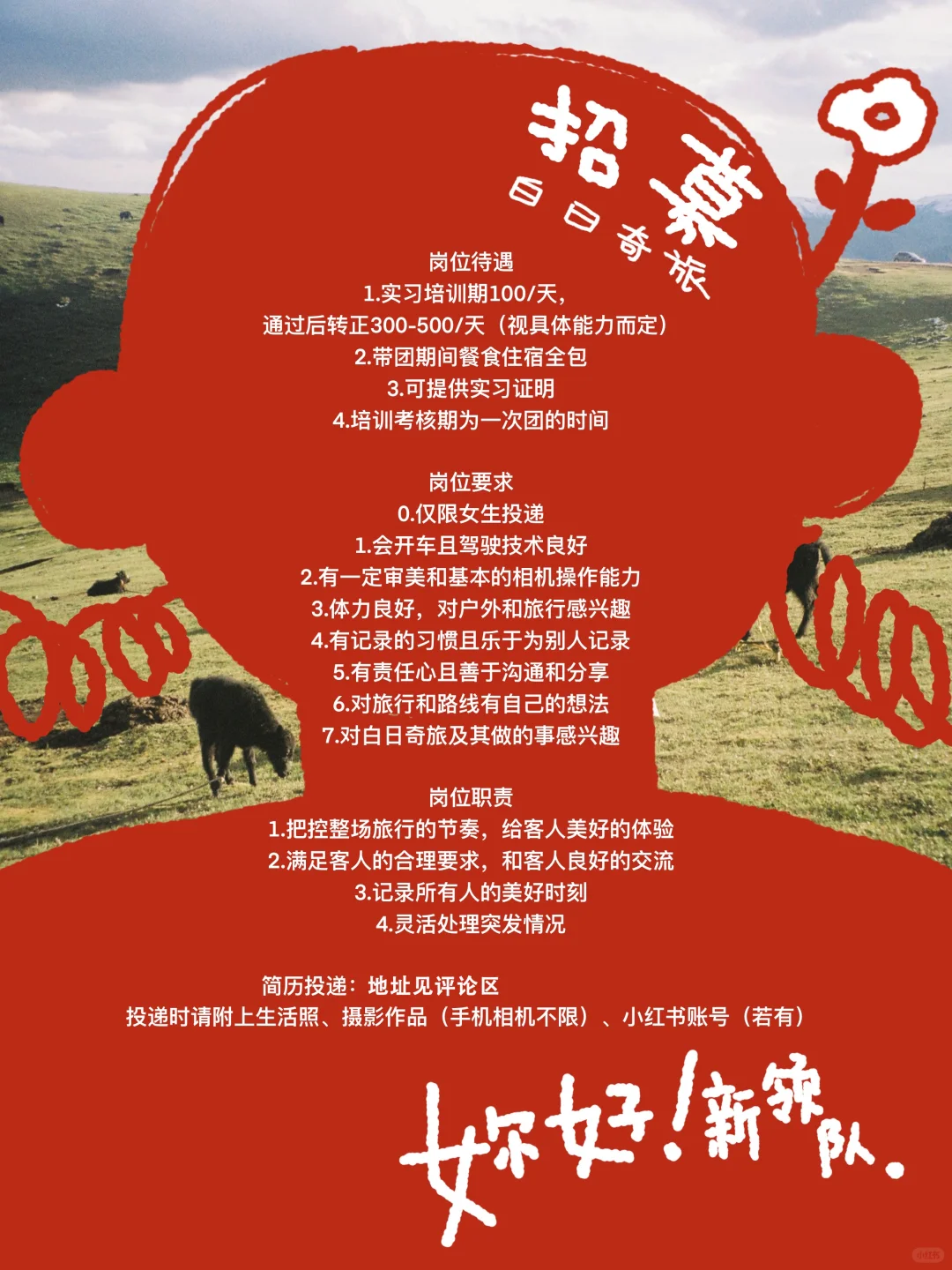 🔍work with us｜白日奇旅领队招聘