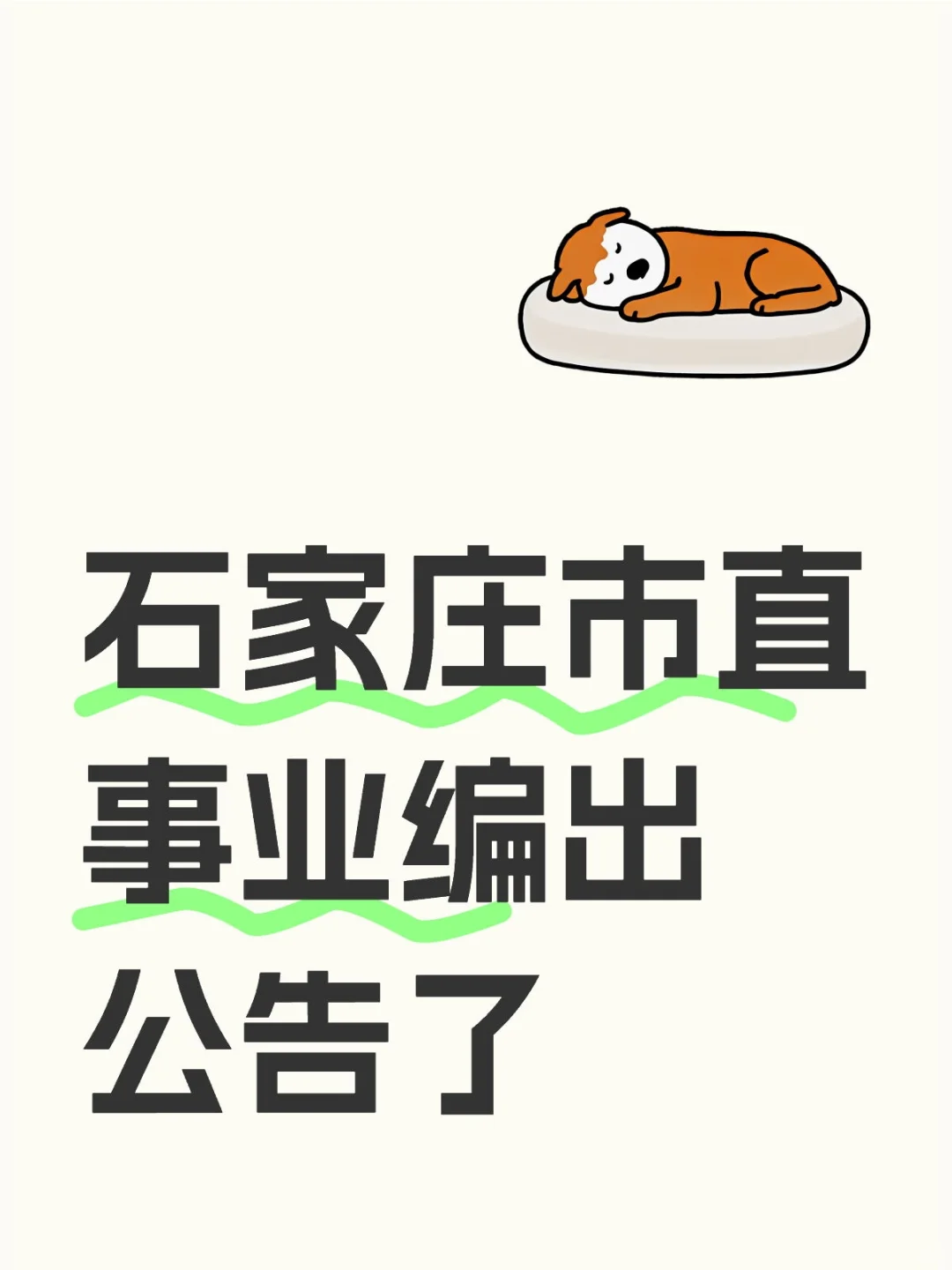 石家庄市直事业编出公告了