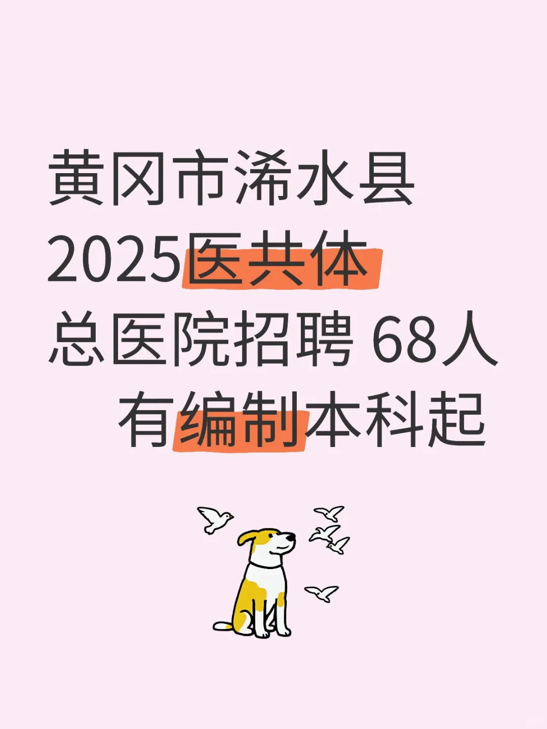 有编制本科起招