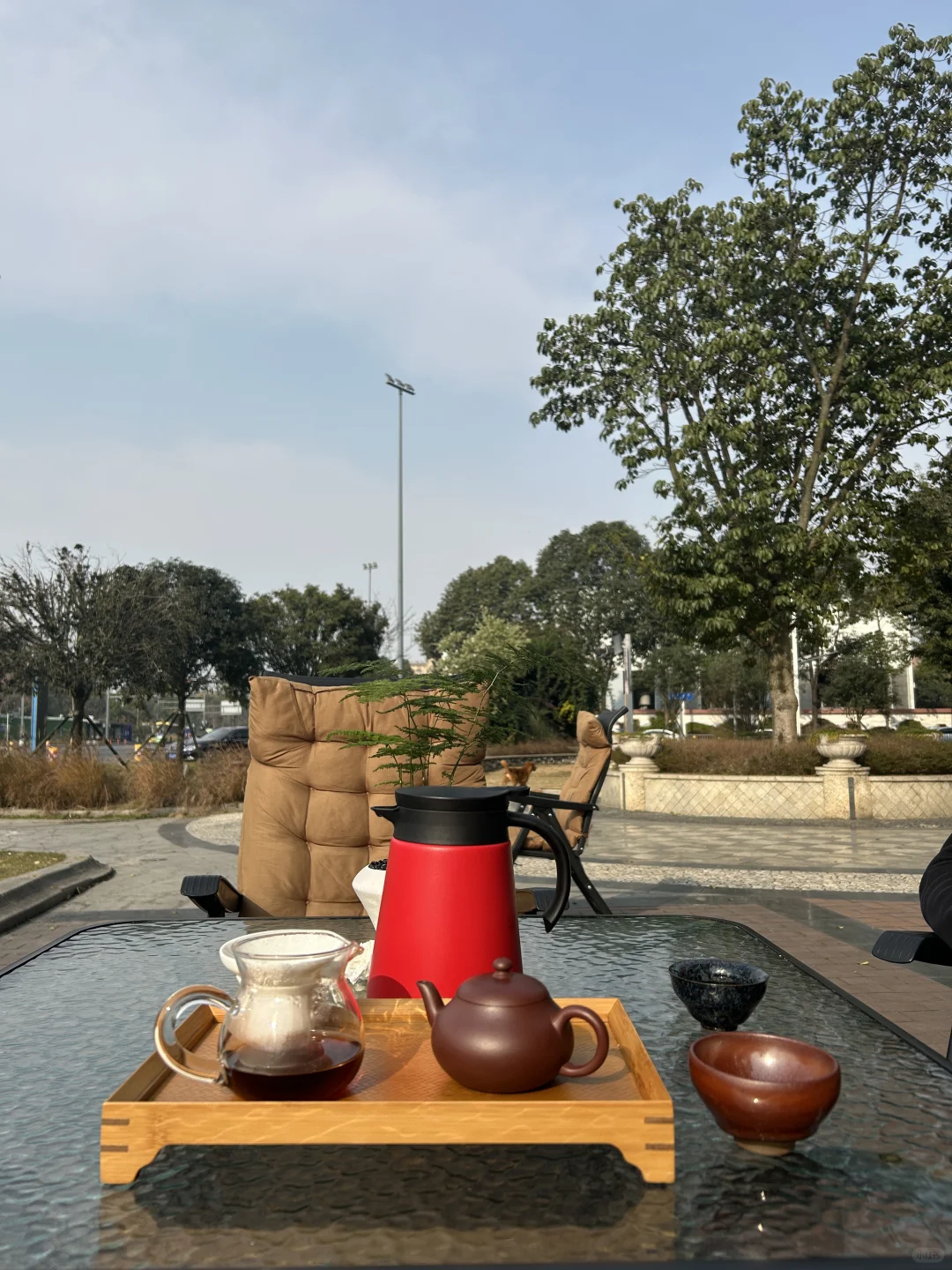 双流东升镇招聘茶艺师