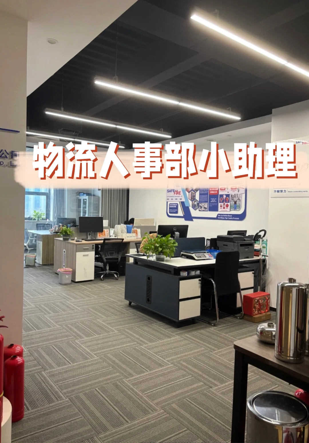 招人啦！兰山物流公司缺个 反内卷先锋