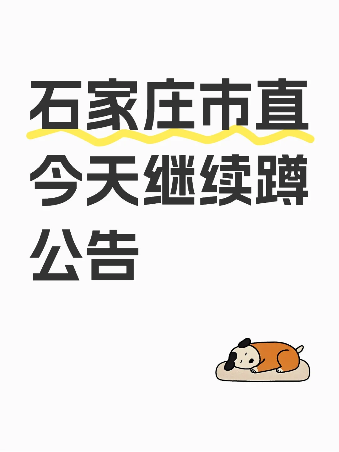 石家庄市直公告什么时候出