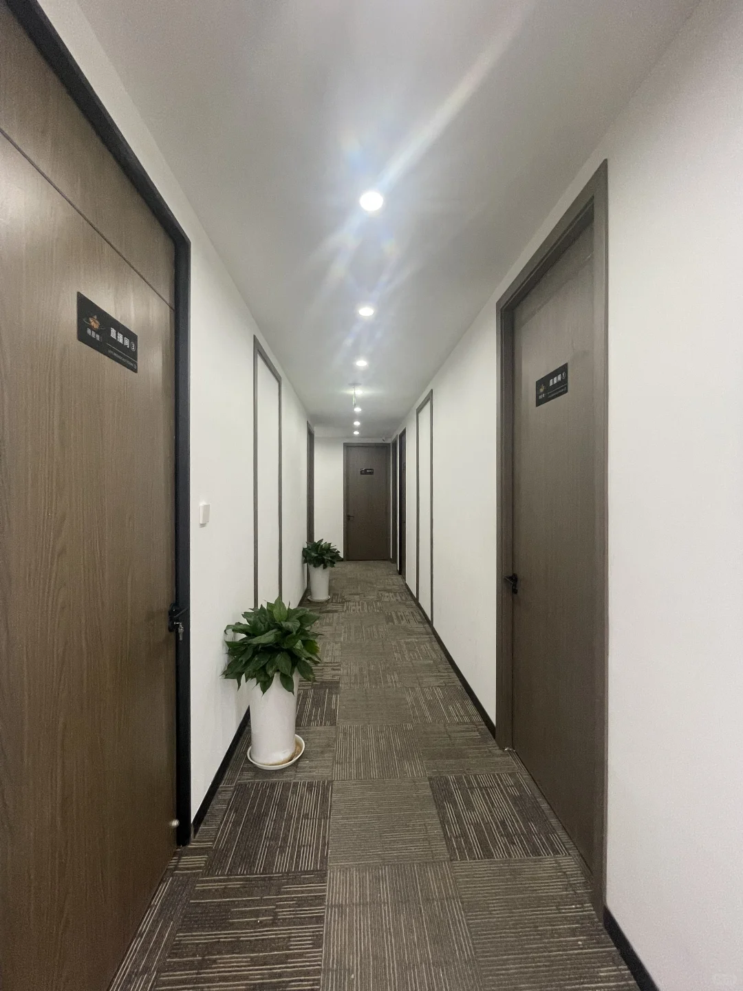 新公司招人事和运营