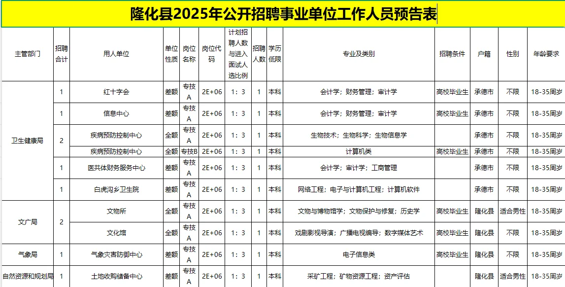 隆化县2025招聘工作人员明细表