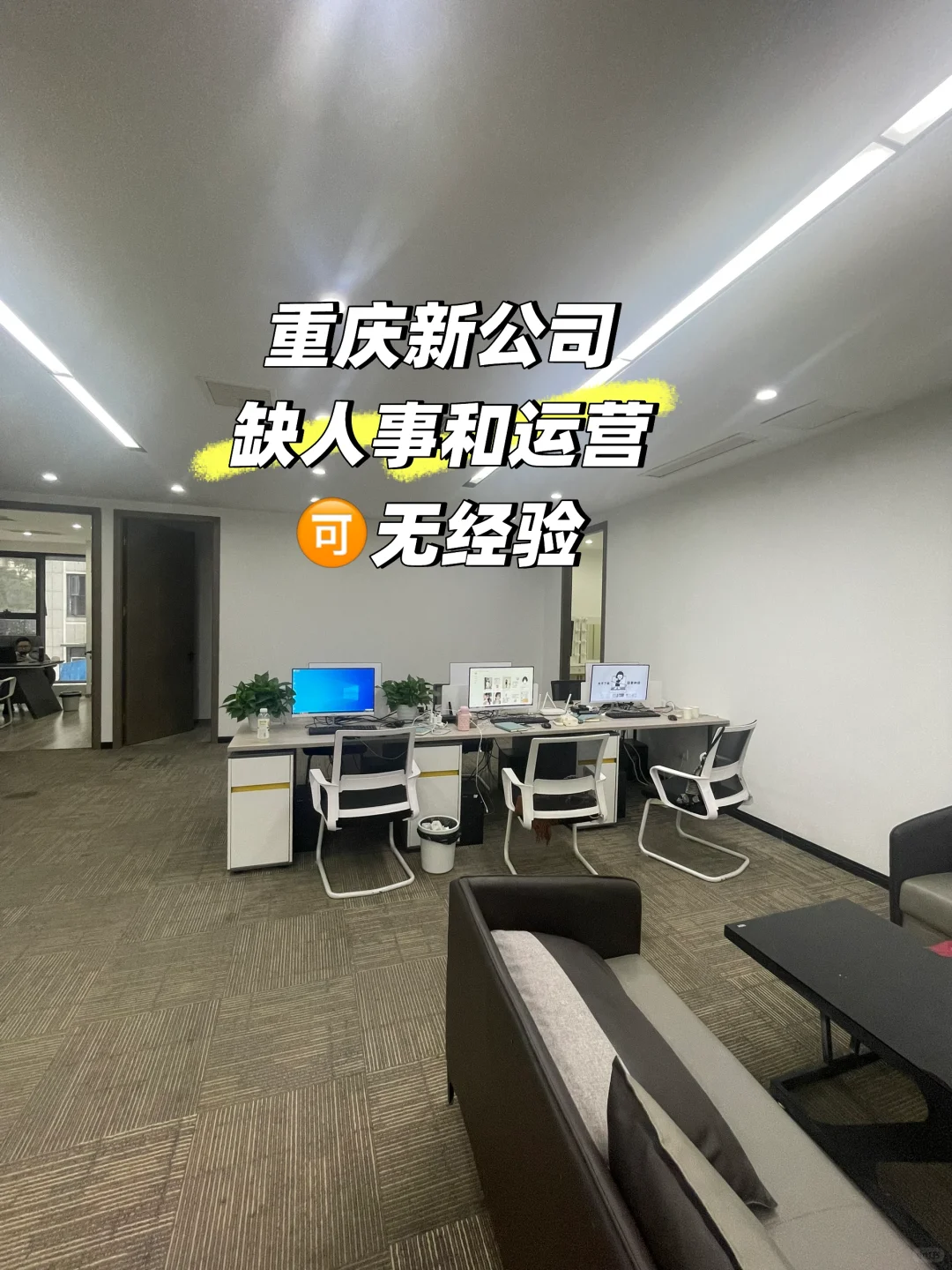 新公司招人事和运营