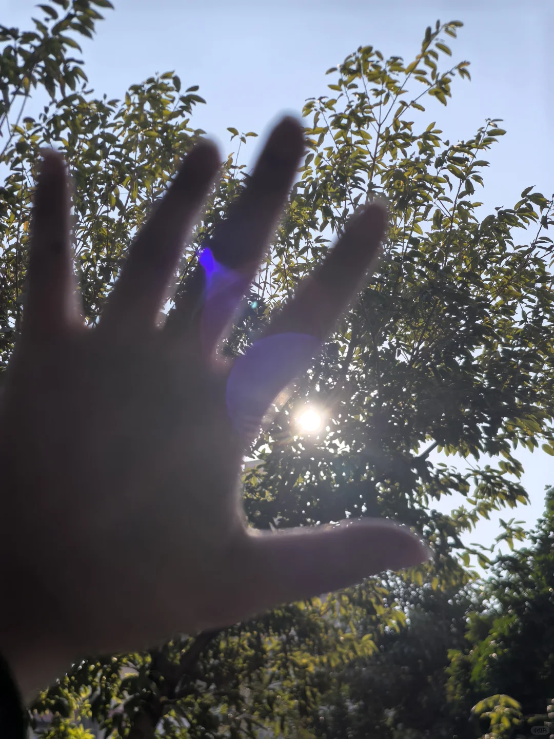 请问有知道的吗？