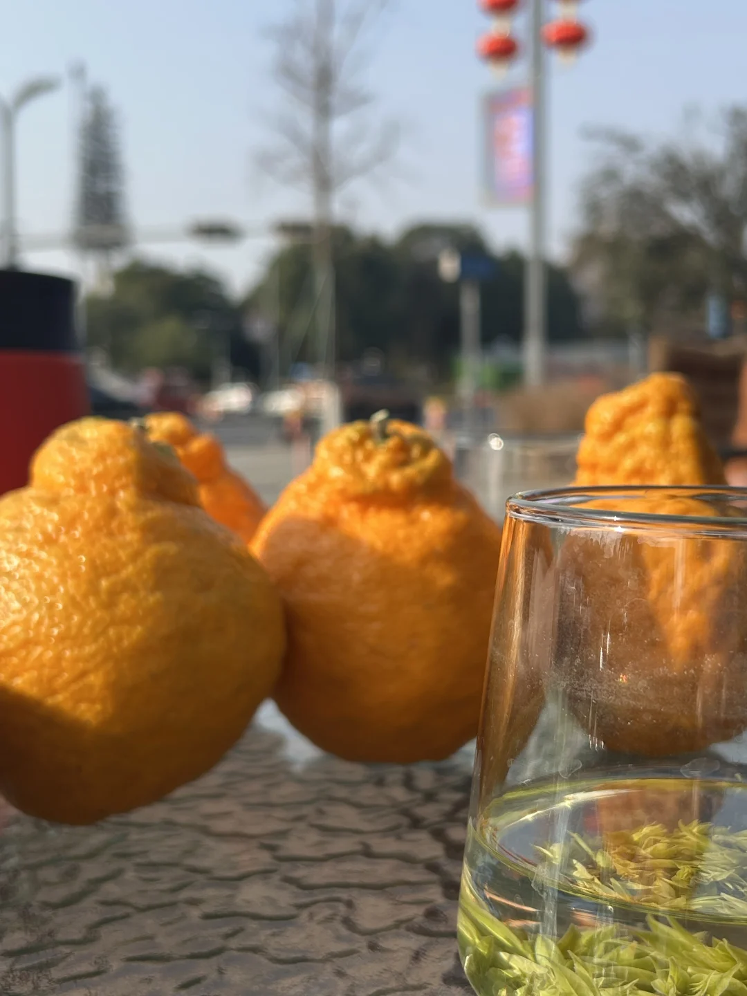 双流东升镇招聘茶艺师