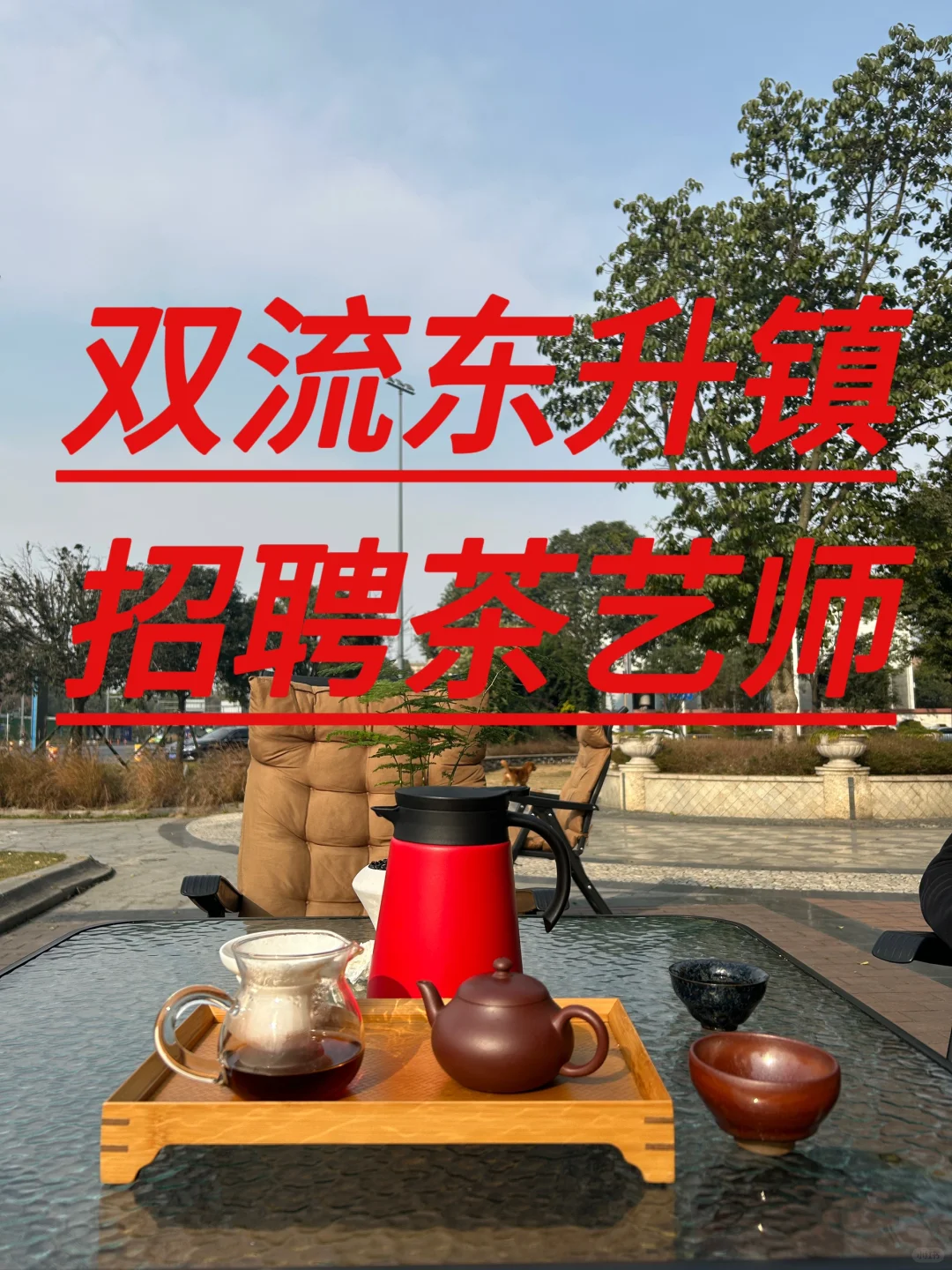 双流东升镇招聘茶艺师