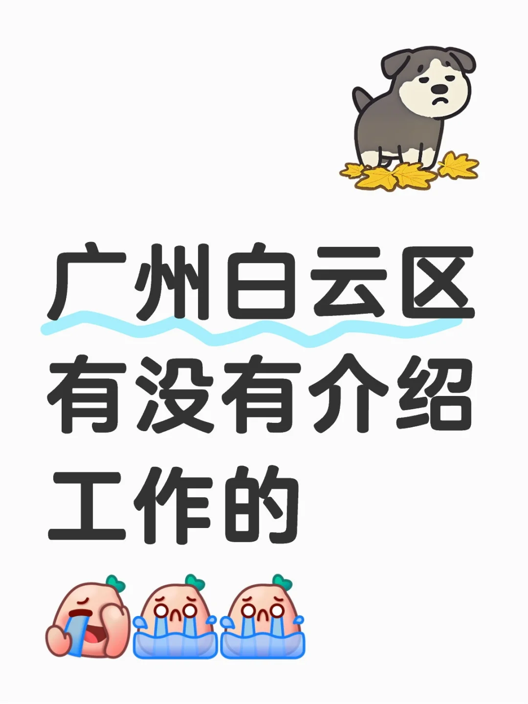 广州白云区有没有介绍工作的