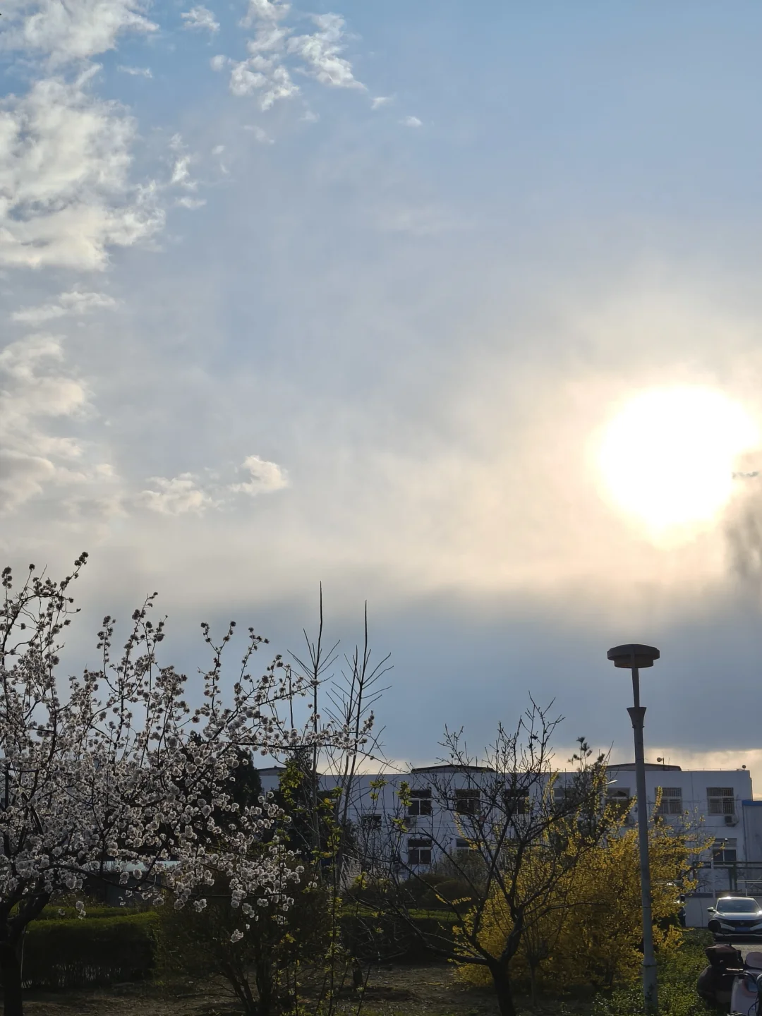 搭子走了，我和她男朋友成了