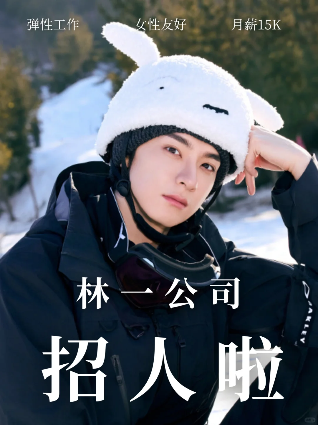 林一经纪公司招人！不限专业，实习正职均可