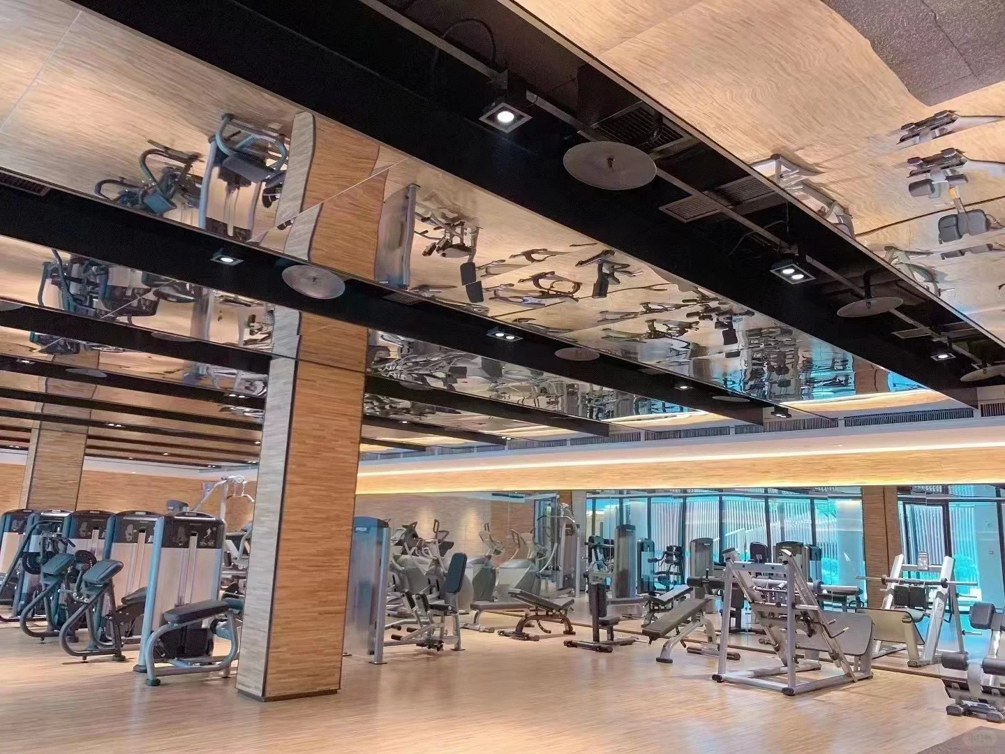 拱墅区城聘一位女教练（独苗培养）