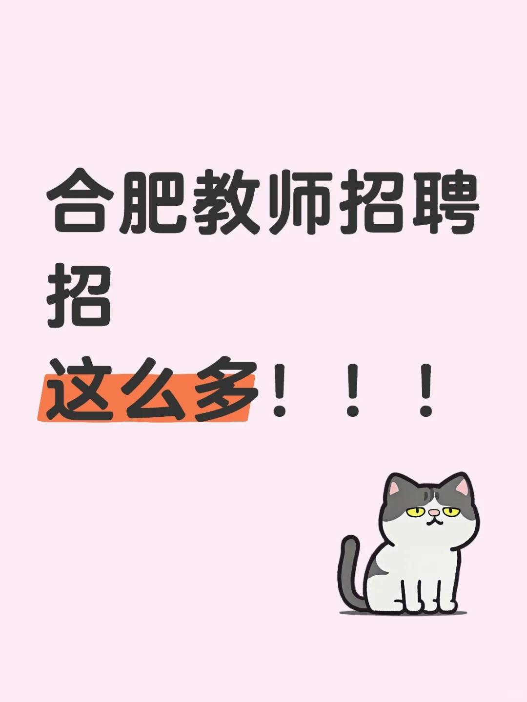 教师招聘疯啦！
