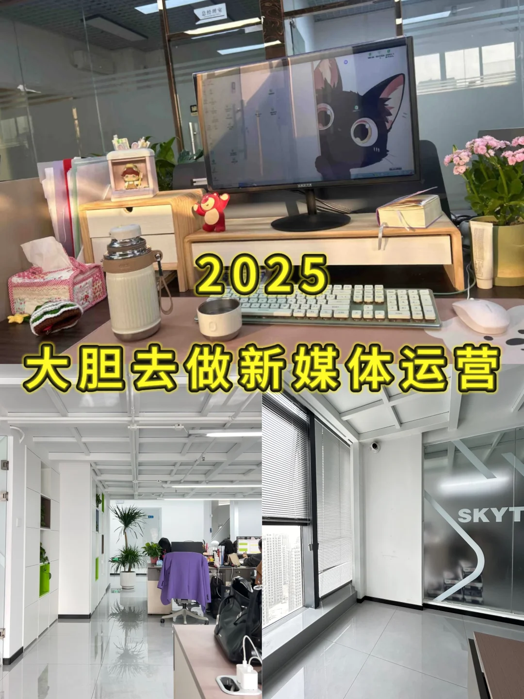 2025，大胆去做新媒体运营