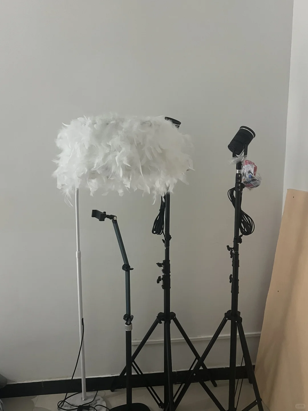 郑州找工作还带房补！！00后公司刚开业