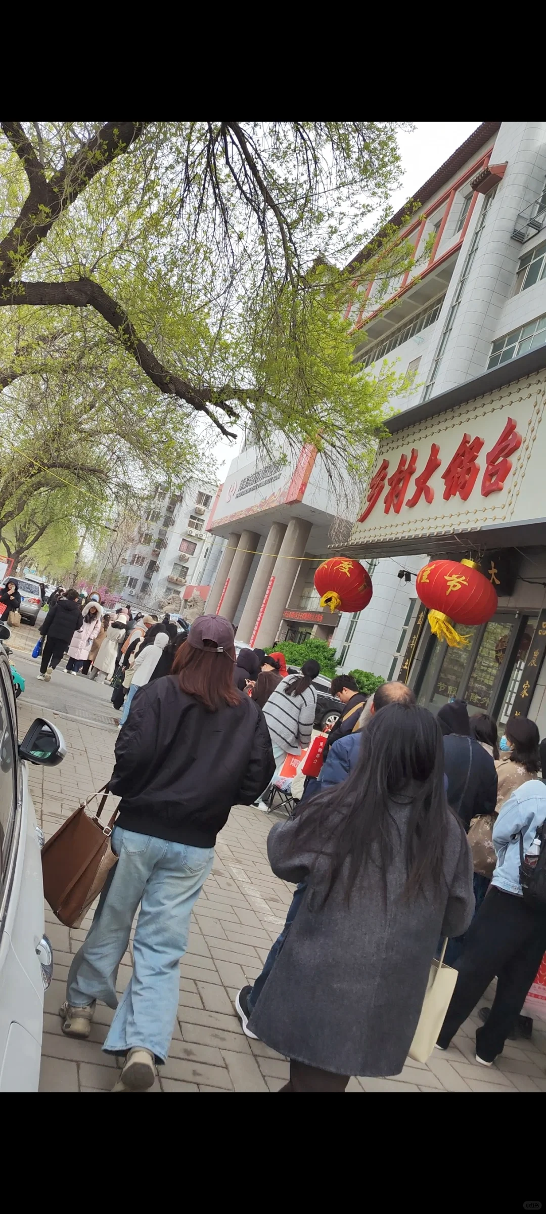 顺河回族区招教