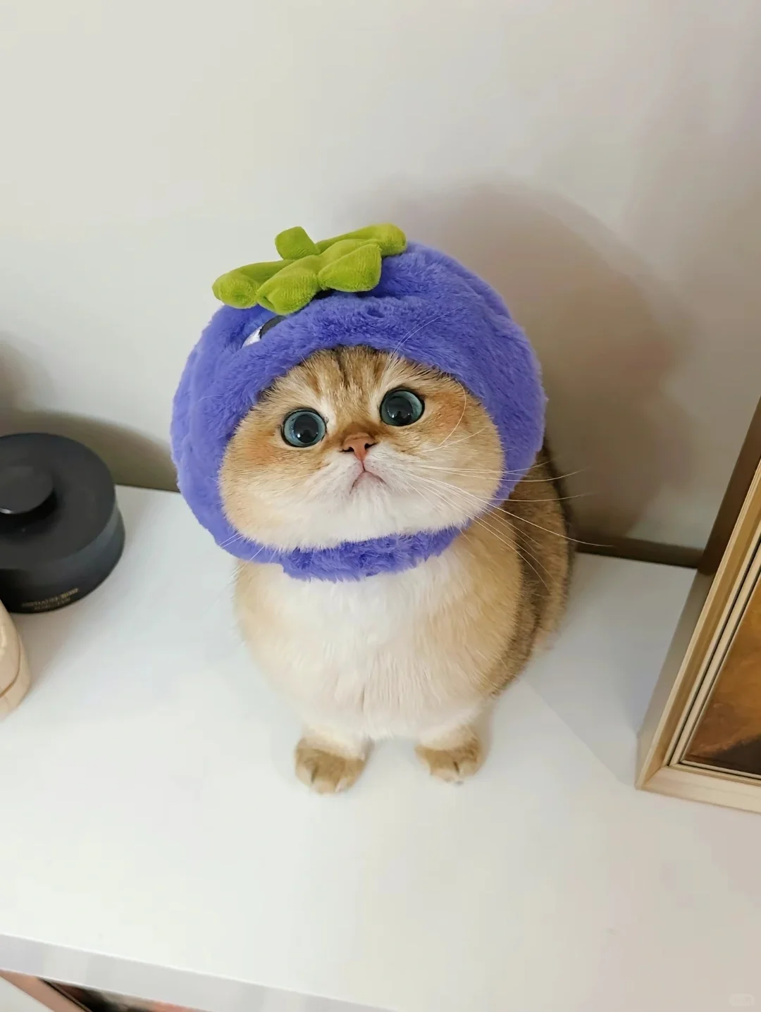 2024年的杭州滨江中级聘用来了应届生专属