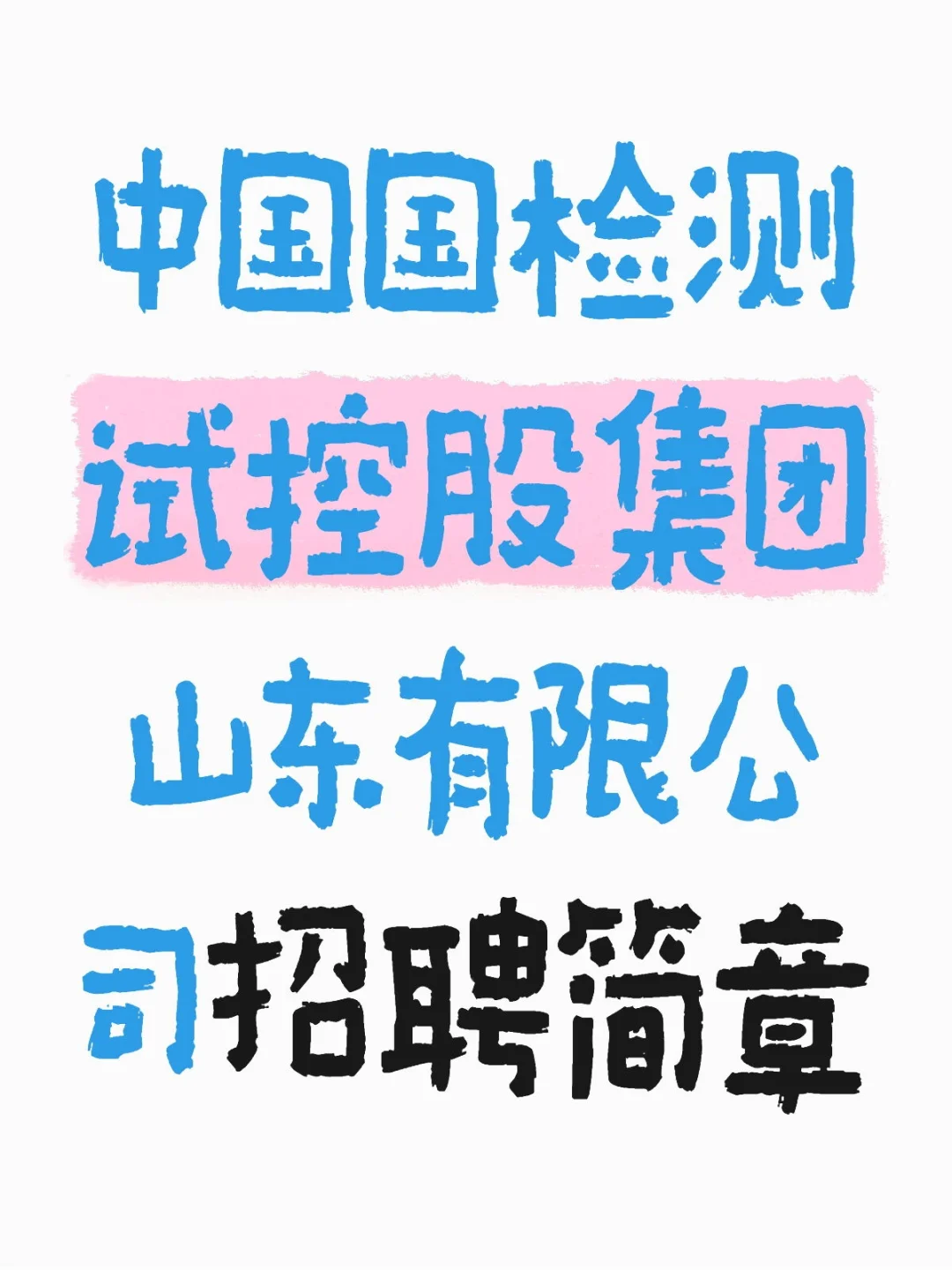 中国国检测试控股集团山东有限公司招聘简章