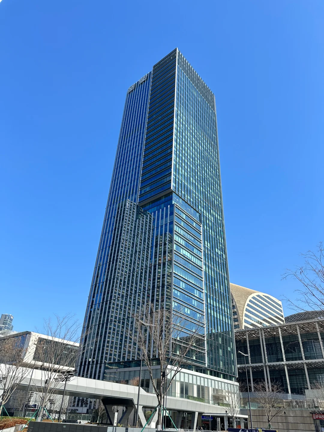 新公司招总助