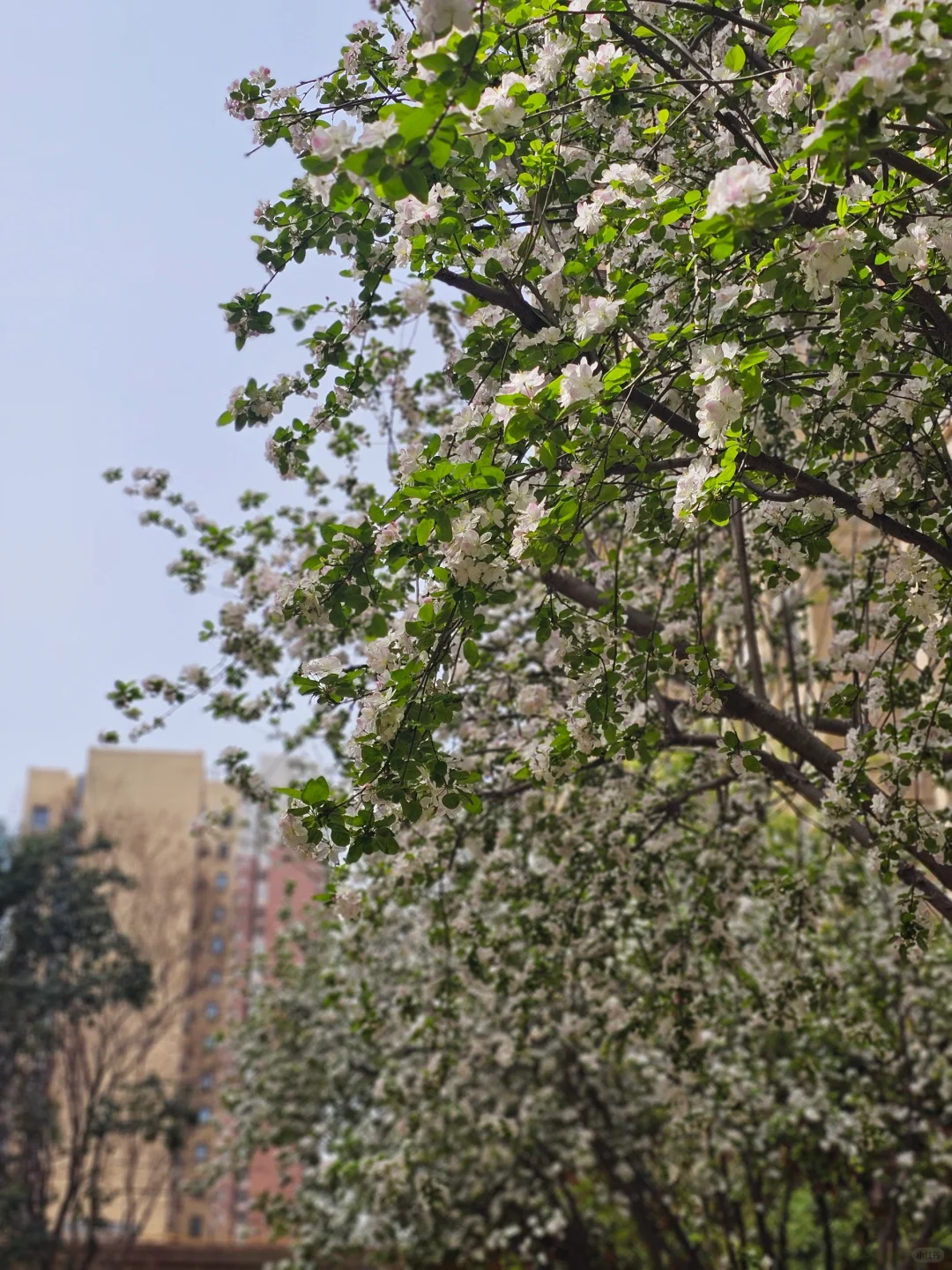 投入越多 收获越多