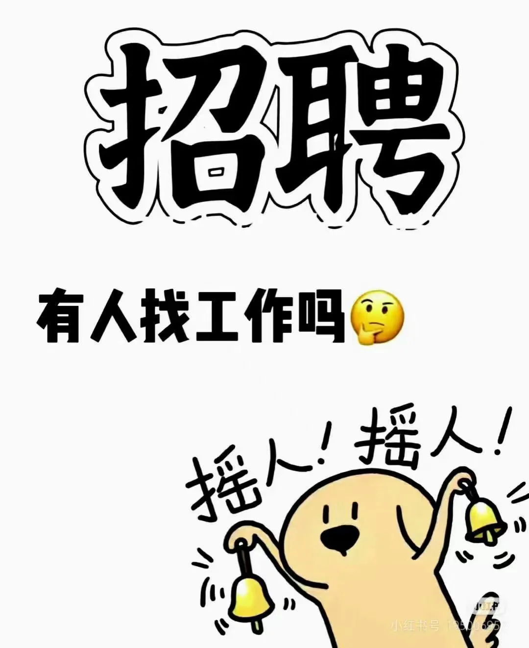 河北高碑店市乐福优选招聘