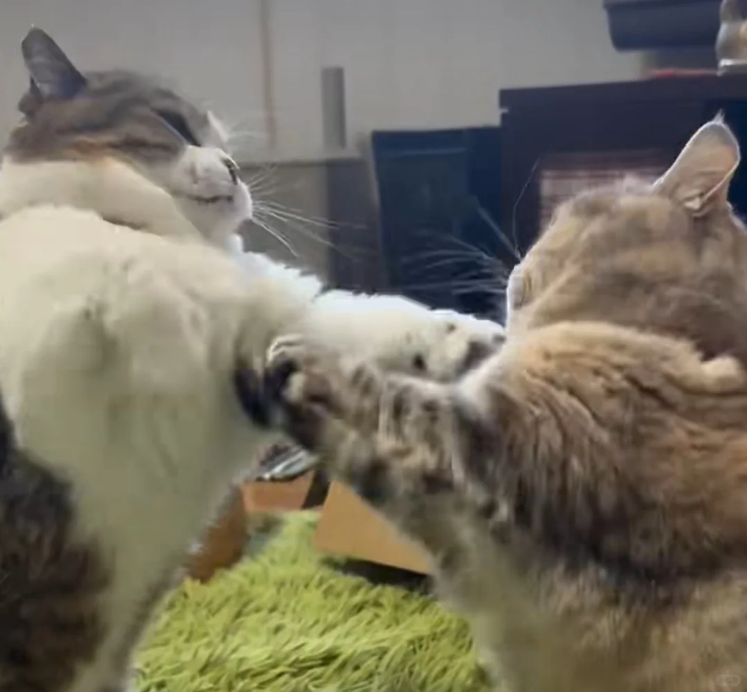 绍兴市直国企岗位取消来了-快去重新报