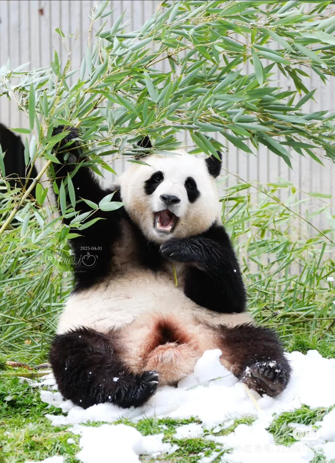 营养科和康复科哪个科好?