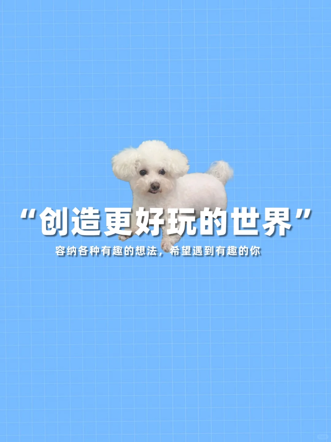 杭州·余杭｜新媒体公司多岗位招聘！