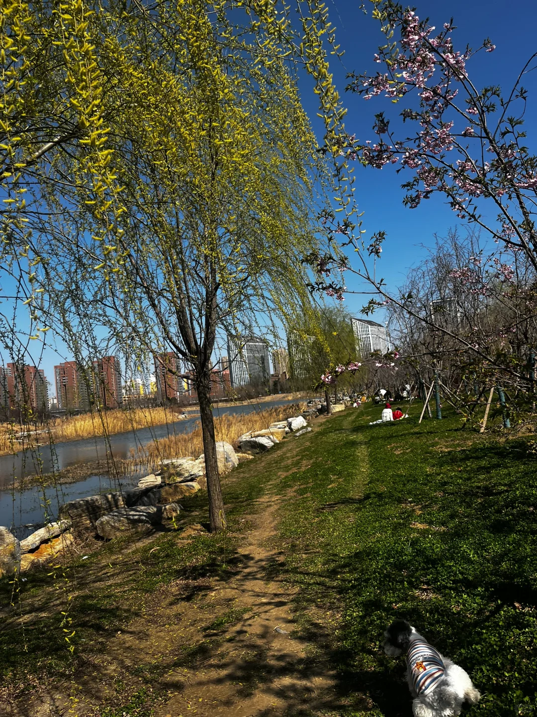 郑州高新区工作