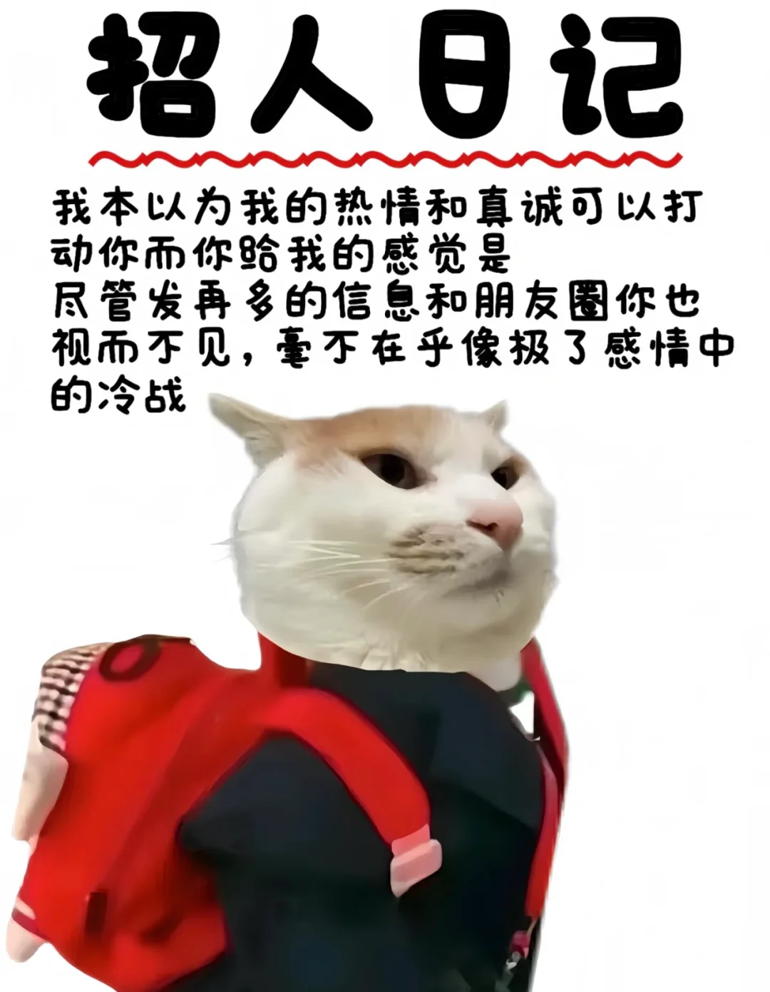 招办公室搭子第N天#秦皇岛