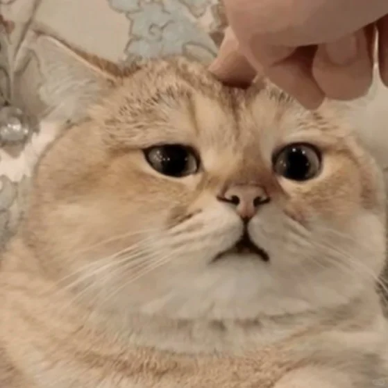 我朋友公司招人有8000多个人投简历