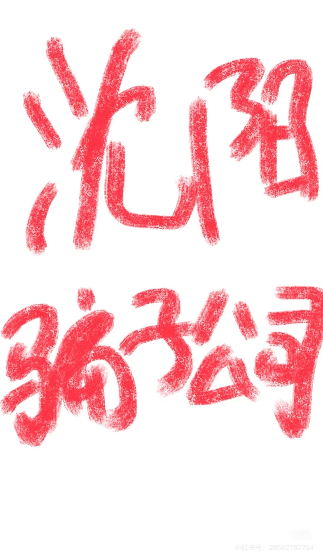 沈阳的骗子公司，有漏的各位补充吧