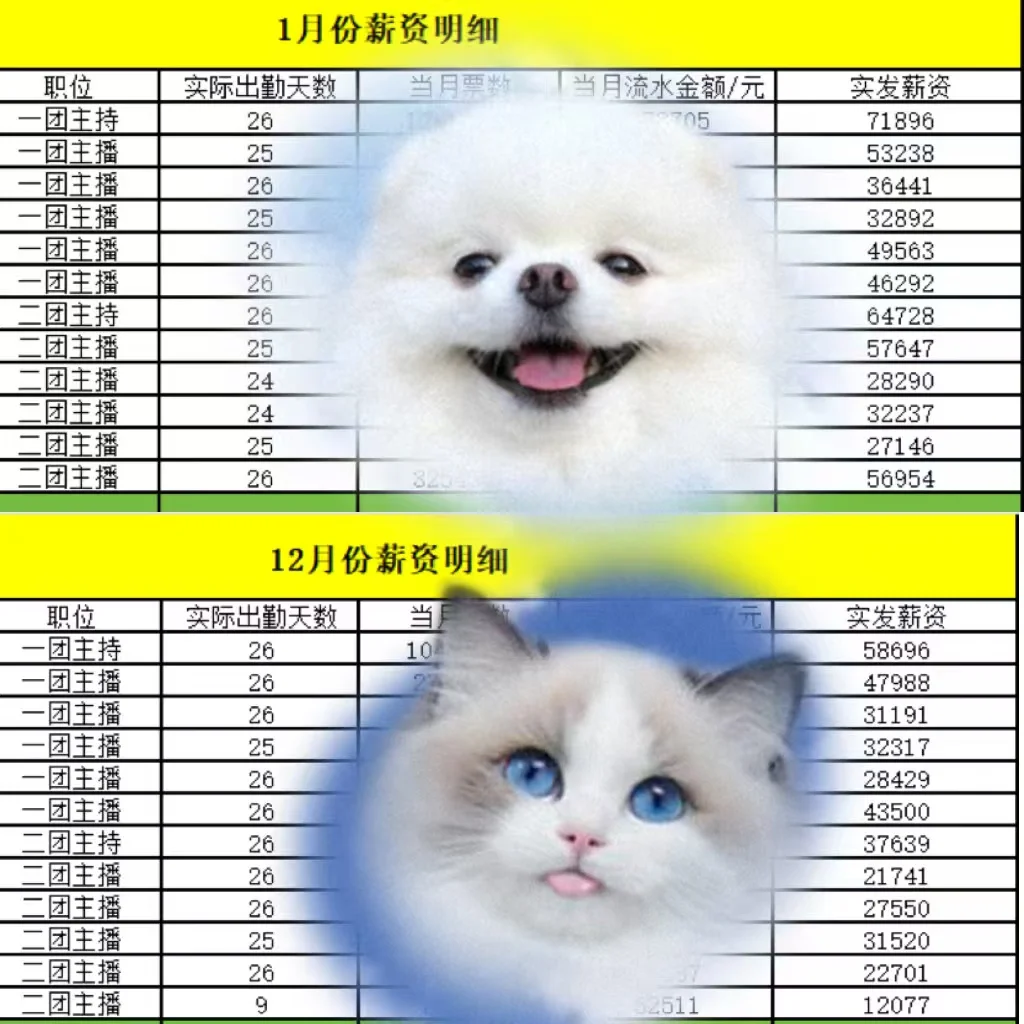 合肥不签恶心合同的团播来了