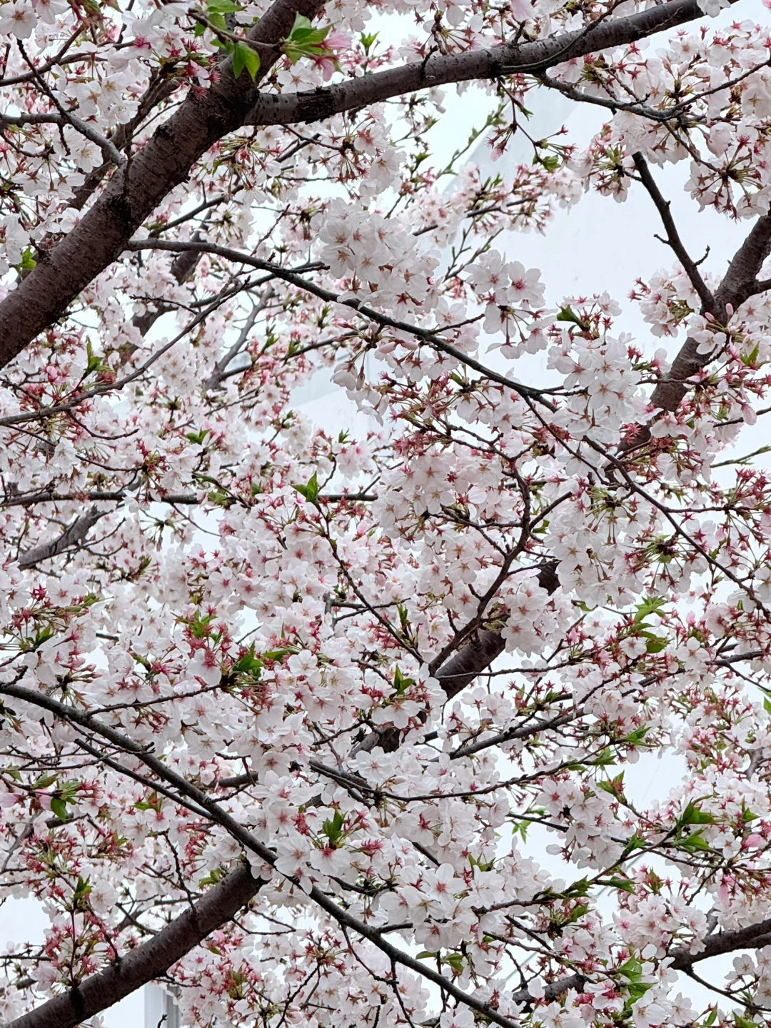 上市公司法务专员岗位面试凉经