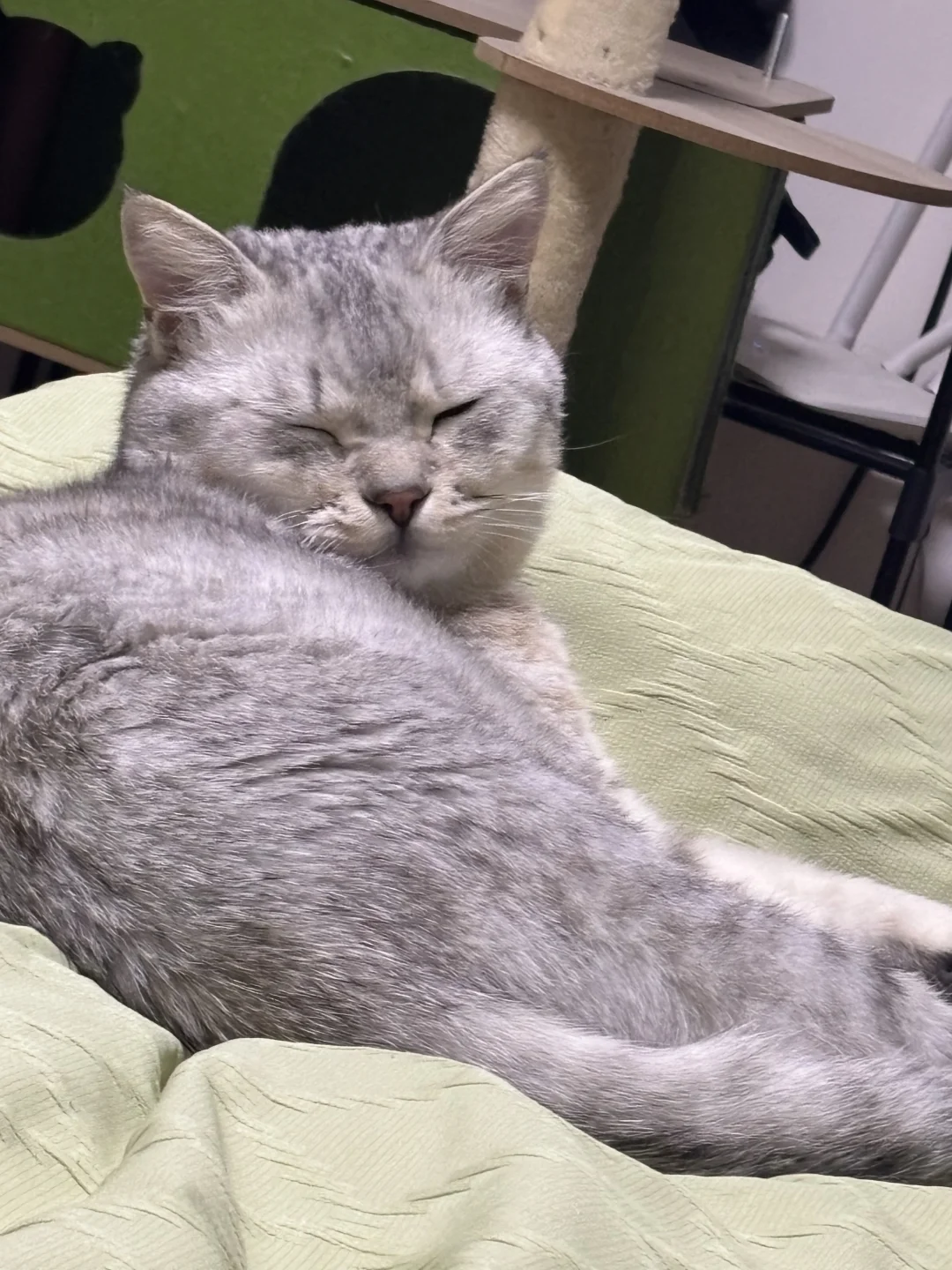 小众但意外好进的昆明外企