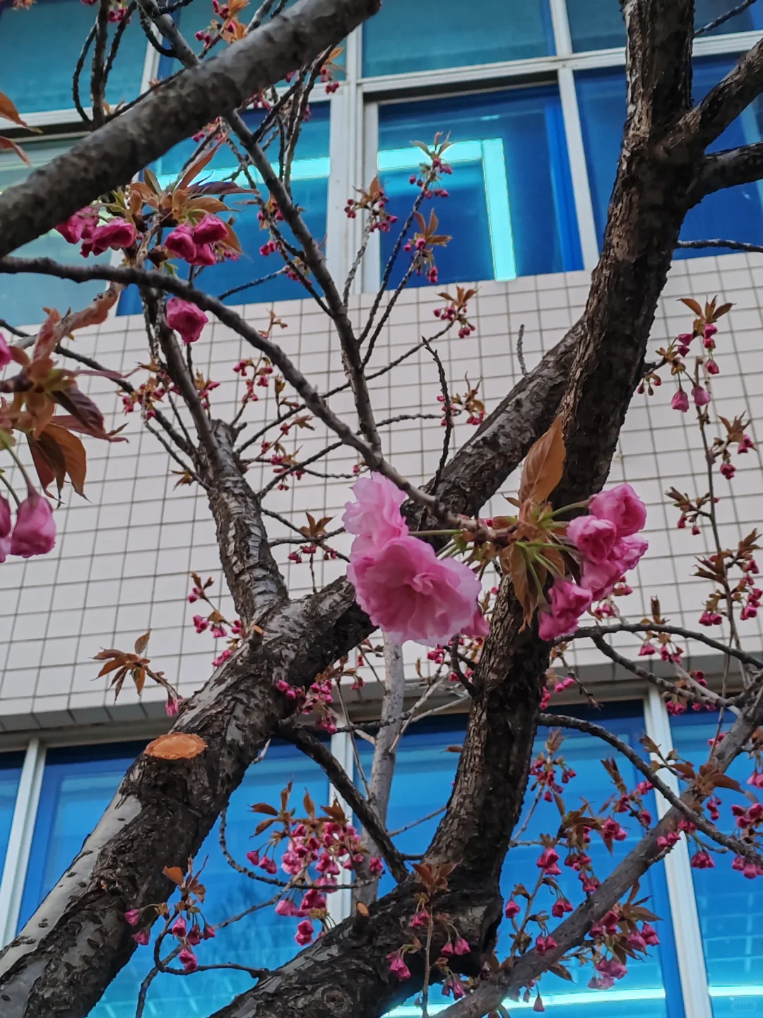 一觉醒来，我发现世界疯了——思政