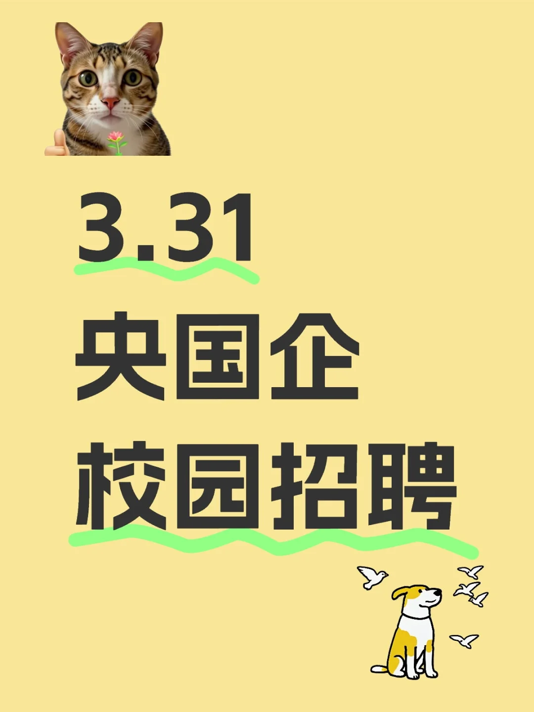 3.31央国企校园招聘真的来了！