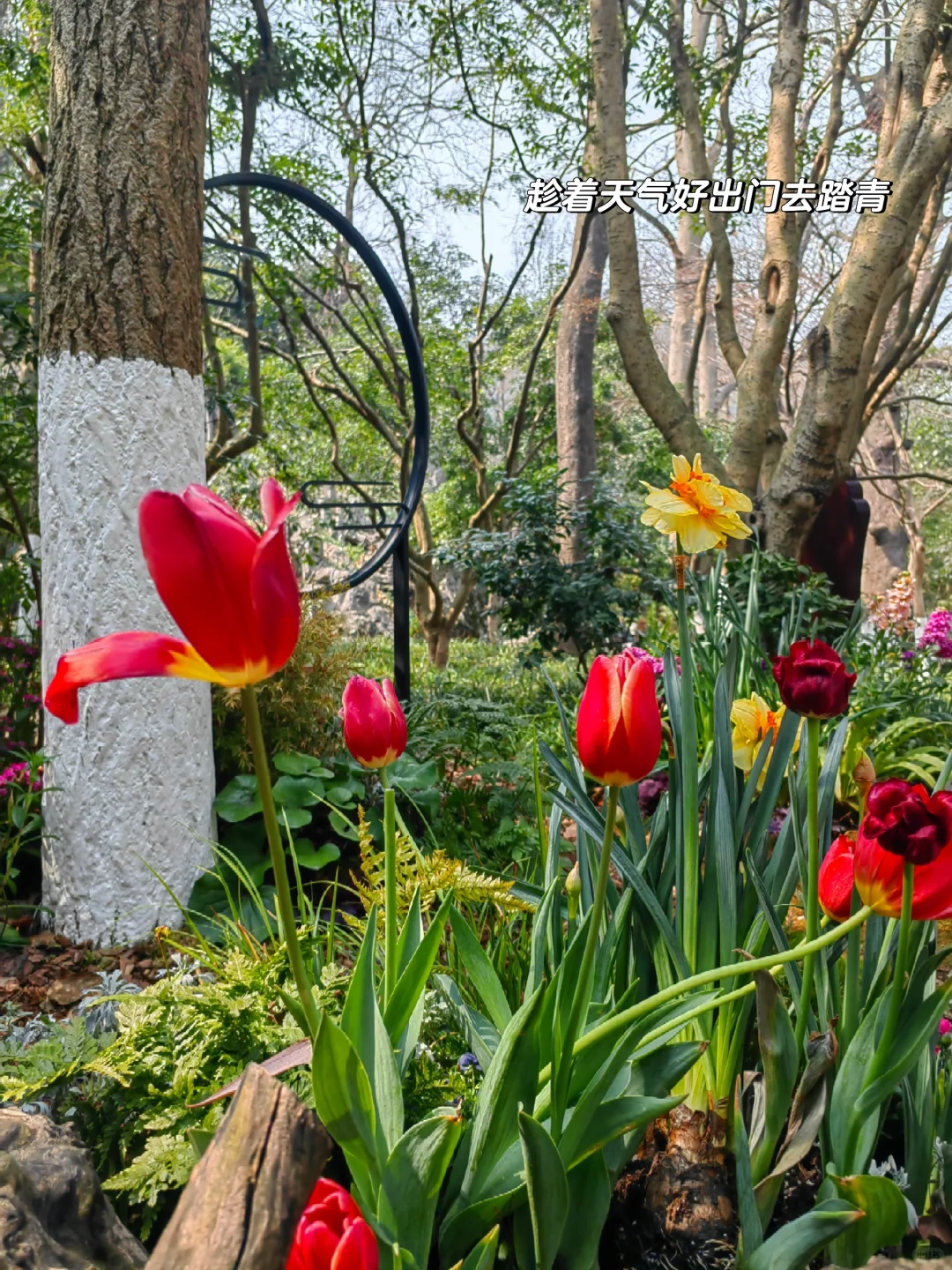 浙江国企3月招聘信息汇总