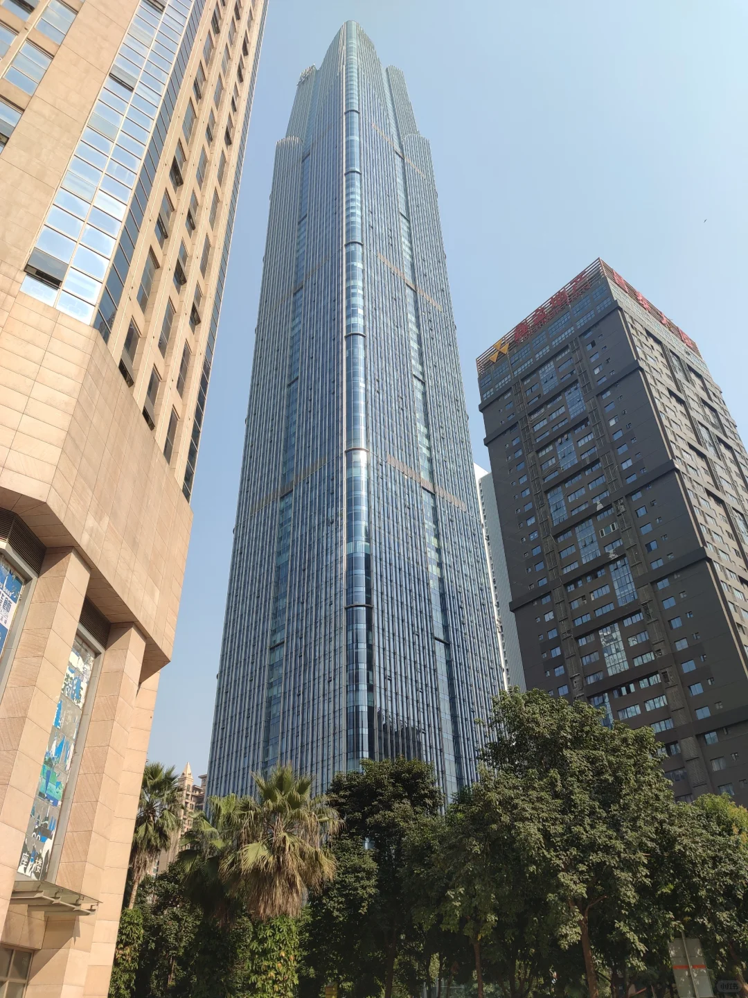 审核岗，老员工内推