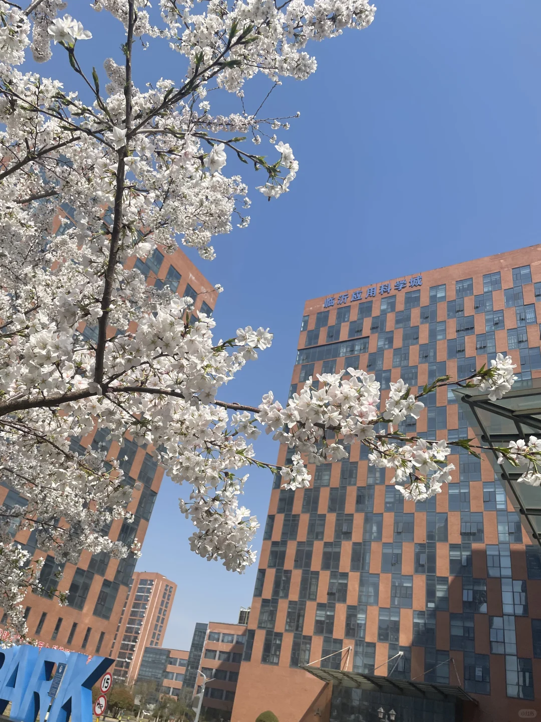 临沂南坊招女士