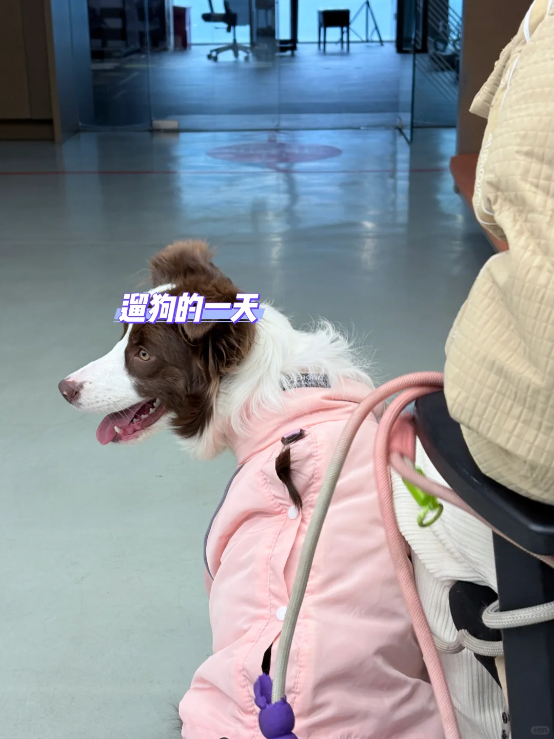 00后在传媒公司招主播的一天