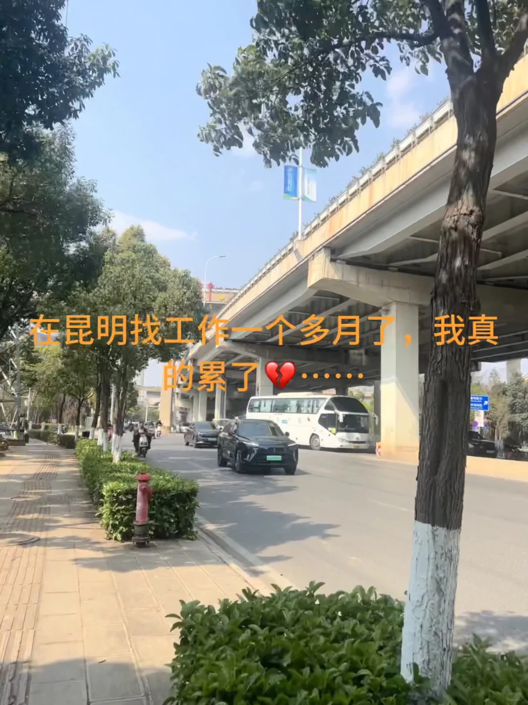 被昆明的就业环境虐的体无完肤